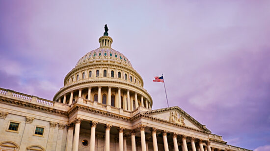 The False Claims Act in 2025: A Year in Review